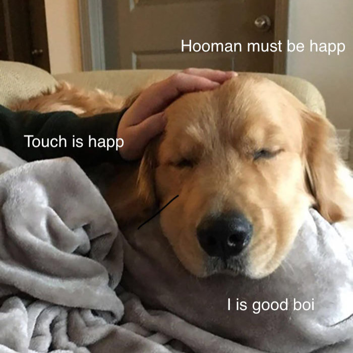 I Made These Pictures With The Sweet Dog Post And I Hope They’ll Brighten Your Day