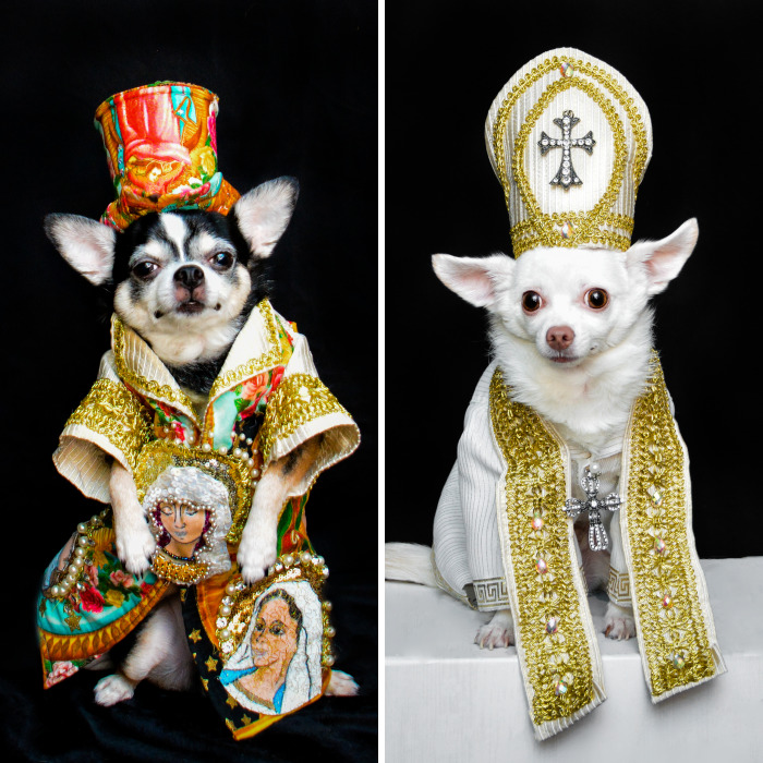 Dogs Wearing Outfits Inspired By Met Gala Heavenly Bodies Exhibit