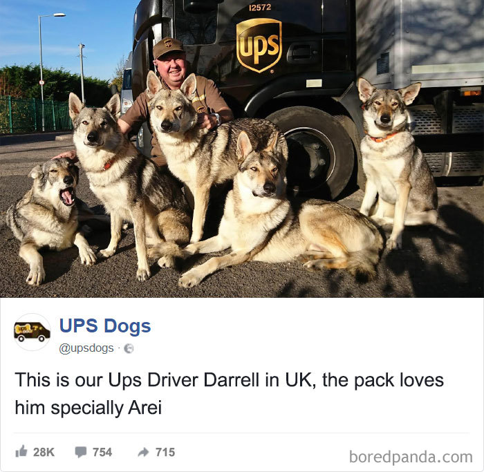 Nuestro conductor Darrell en Reino Unido, la manada le adora, sobre todo Arei