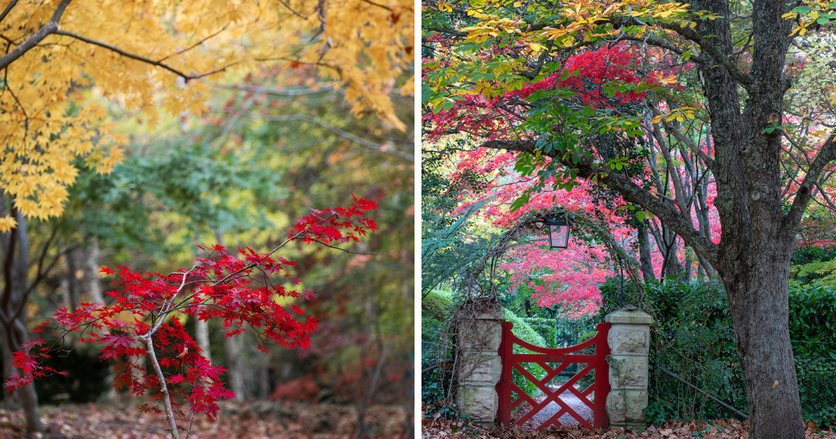 INTERESTING FACTS ABOUT AUTUMN IN AUSTRALIA visual data 6