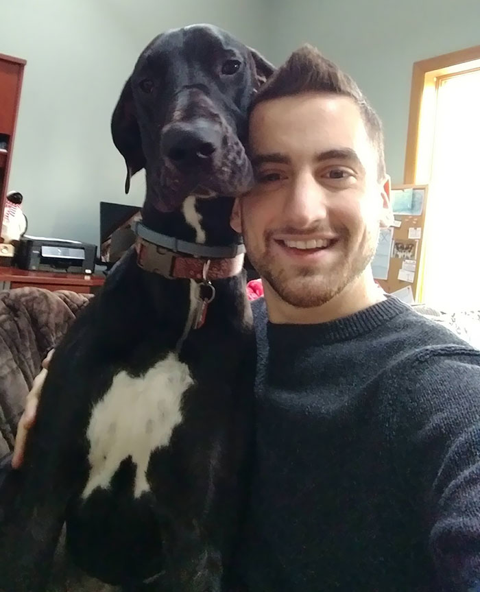 I Trained My Great Dane To Take Selfies With Me - If I'm Sitting And Extend My Arm With My Phone In Hand, She Plops Up Next To Me, Leans, And Gives The Camera This Look