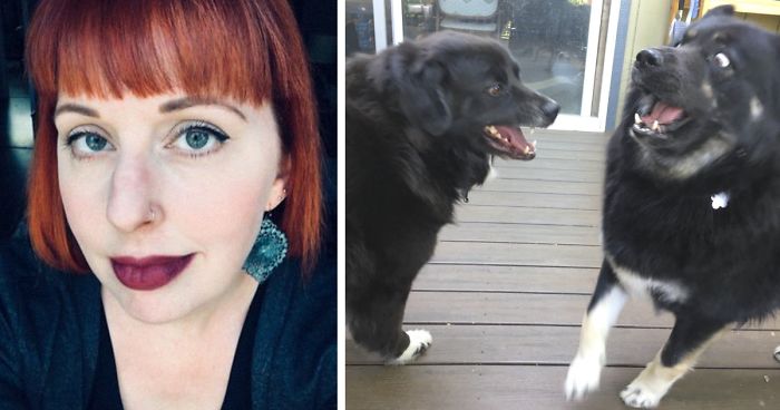 Woman Shares Her Epic Dog Saga On Twitter, And It Will Bring You Tears Of Laughter