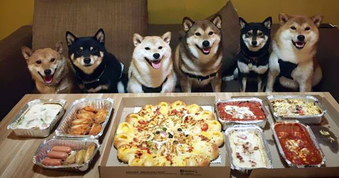 This Is My Sort Of Pizza Party