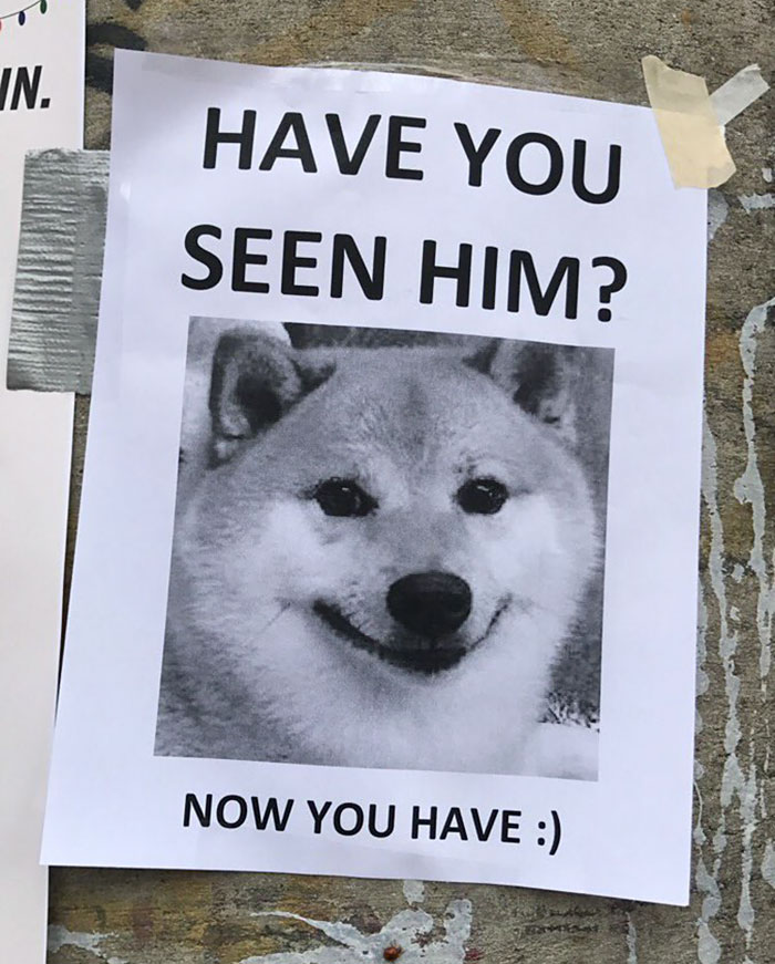 Someone Put This Sign Up On The Campus Notice Board And It Made My Entire Day