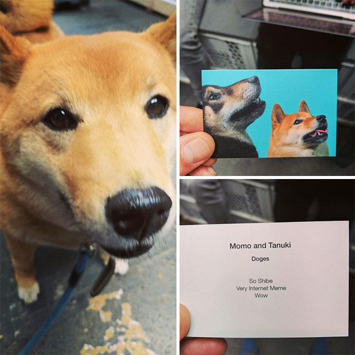 Ran Into A Guy On A Conference With A Doge. He Handed Me This Business Card, And Told Me He Worked For A Bank. Then He Left