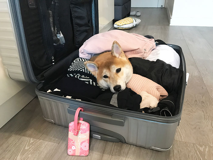Just Packed The Essentials