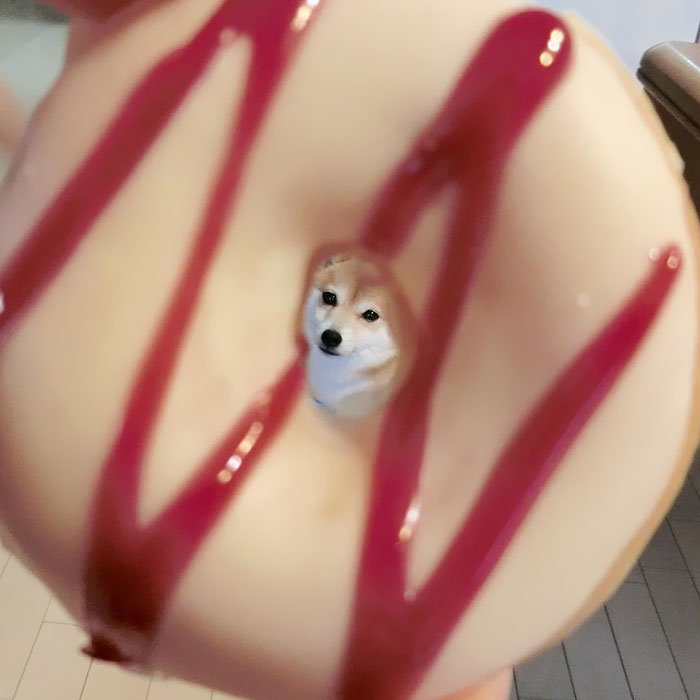 He's Just A Hole Of A Donut