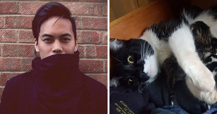 Guy Goes To His Bedroom To Grab A Sweater, Finds A Cat That Just Gave Birth Instead, And The Cat Isn’t Even His