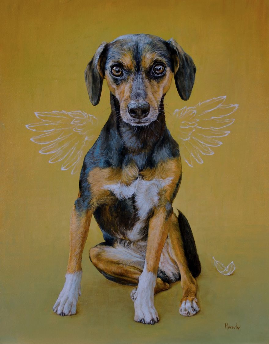 dogs with wings