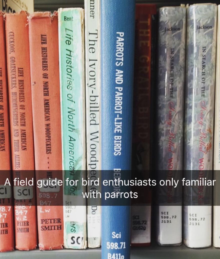 I've Spent The Last Year Adding Dark Humor Subtitles To Library Books...