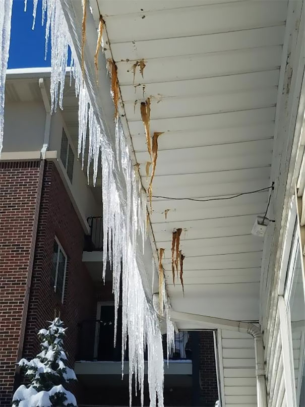Racoons And Squirrels Live In Our Attic, Now We Have Sh*t-Cicles Growing From Our Soffit