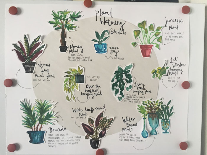 My Roommate Is Out Of Town And I Asked For Her To Leave Me Instructions To Care For Her Plants... This Is What She Left Me
