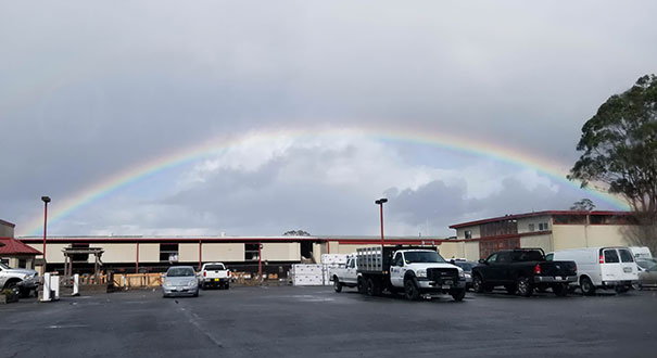 Snapped This Picture At Work Yesterday And Noticed That It's Overcast Only Outside The Rainbow. Partly Cloudy Inside Of It