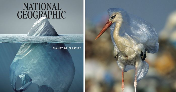 Alle feiern dieses National Geographic Cover, aber der eigentliche Schock verbirgt sich in den Seiten