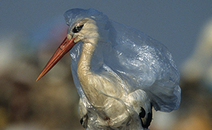 Everyone Is Applauding This National Geographic Cover But The Real Shock Lies Inside The Pages