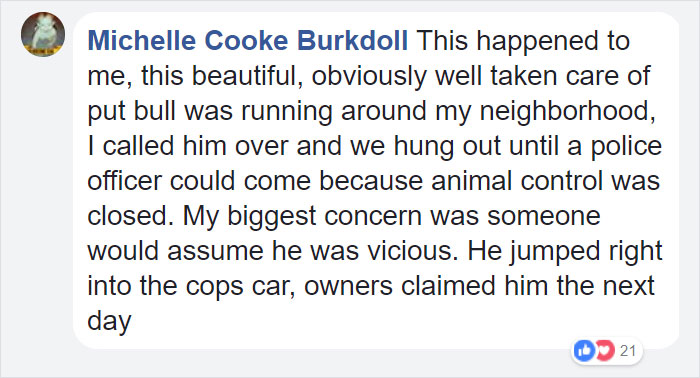 Cop Responds To A Call About A Vicious Dog, Doesn't Expect This Kind Of Attack