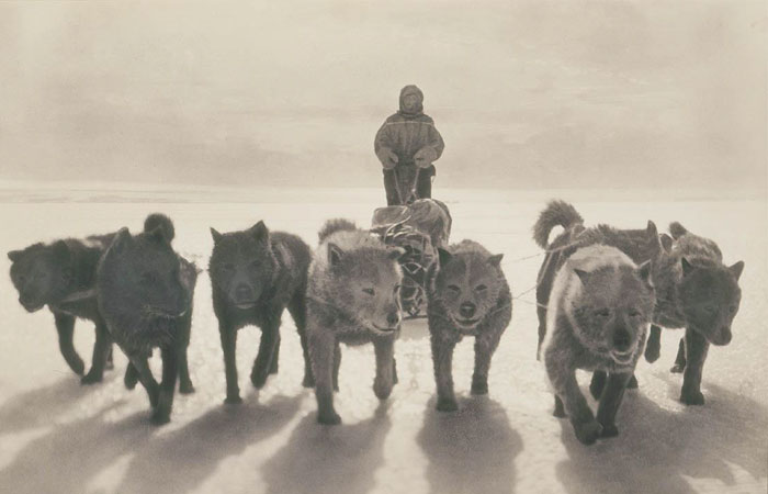 Rare Photos Of First Australasian Antarctic Expedition Taken 100 Years Ago Will Make You Shiver