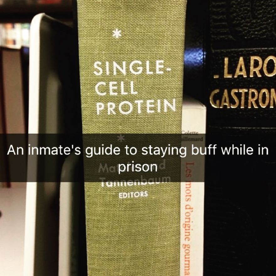I've Spent The Last Year Adding Dark Humor Subtitles To Library Books...