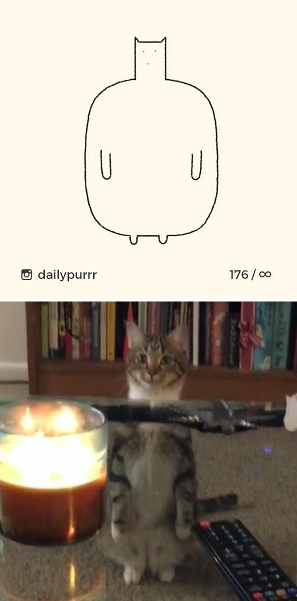 Stupid-Cat-Drawings-Dailypurrr