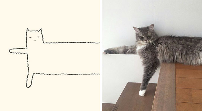 85 alberne Katzen Zeichnungen, die so absurd zutreffend sind, dass Alle Lachen müssen