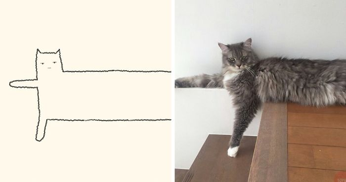 85 Times 'Stupid Cat Drawings' Made Everyone Laugh With How Accurate They  Were | Bored Panda