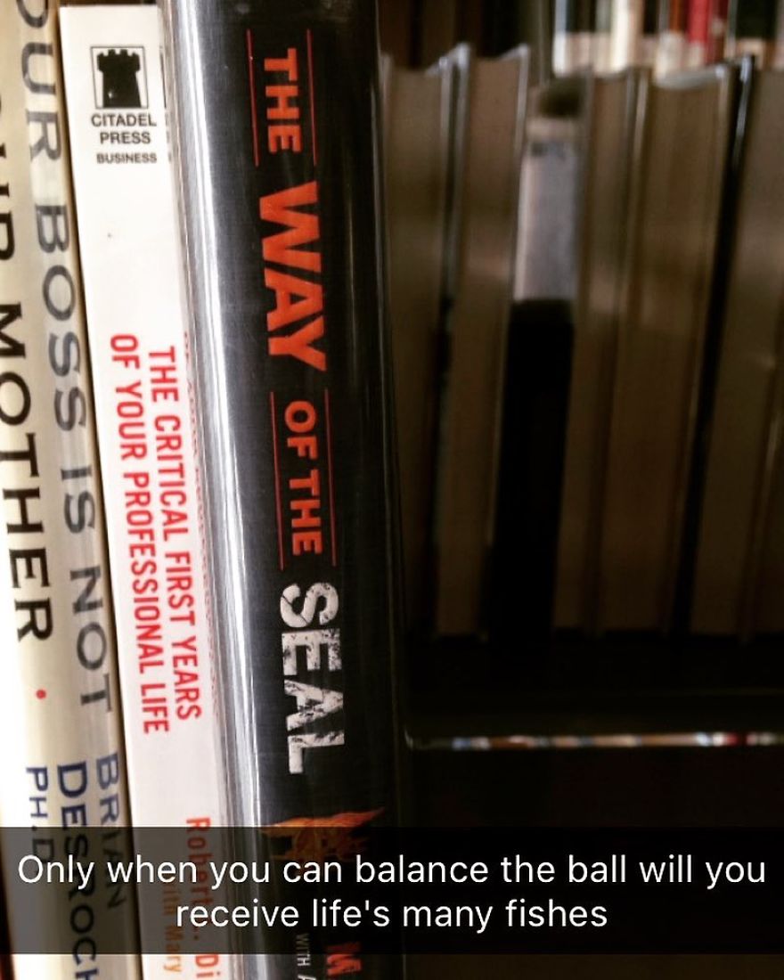 I've Spent The Last Year Adding Dark Humor Subtitles To Library Books...