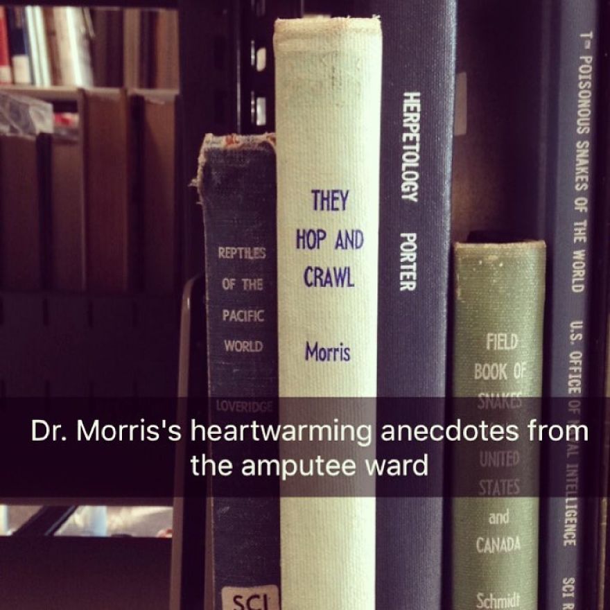 I've Spent The Last Year Adding Dark Humor Subtitles To Library Books...