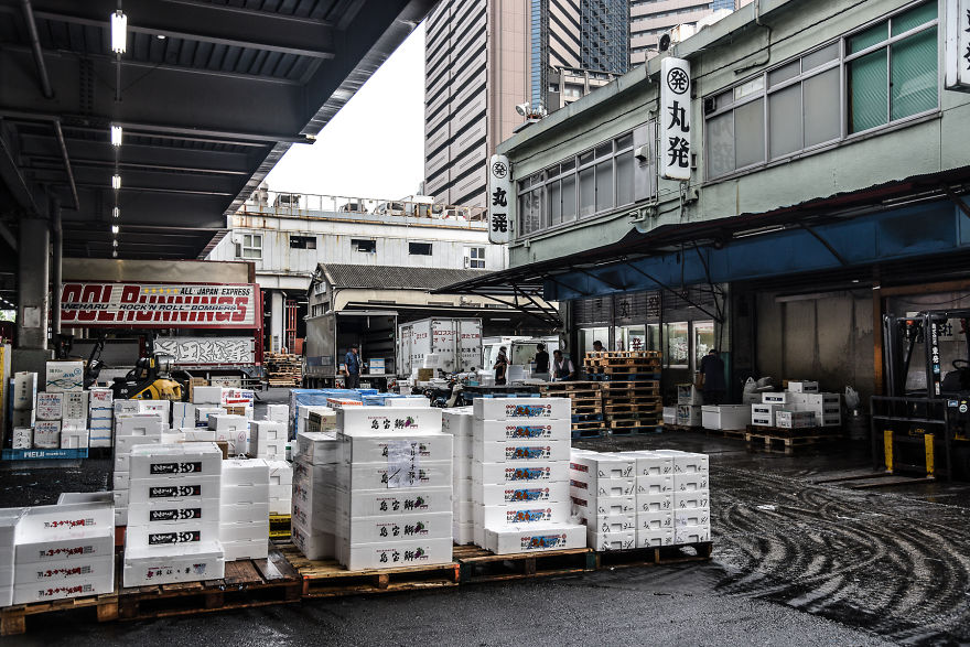 Help Me Spread The Last Message Of The Dying Iconic Fish Market In Tokyo... Maybe We Can Safe Tsukiji Together