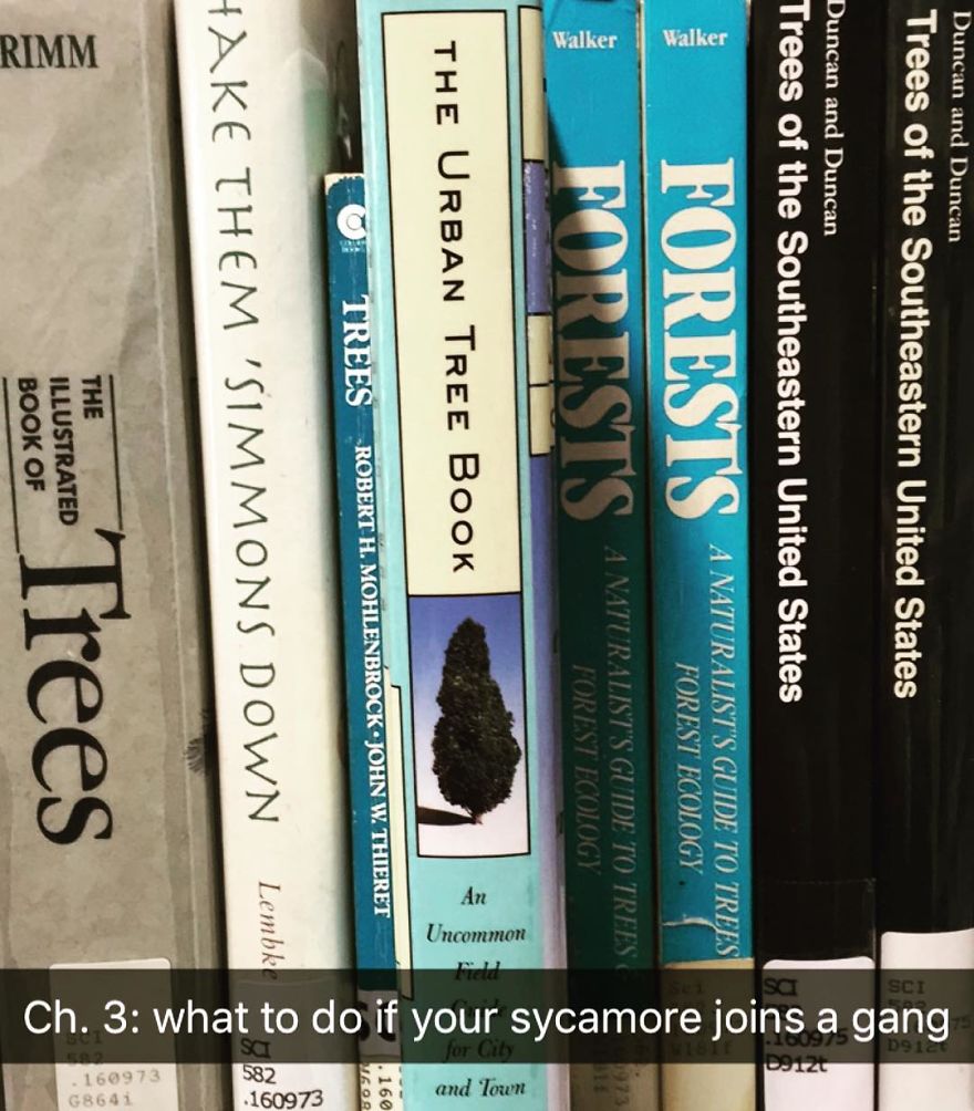 I've Spent The Last Year Adding Dark Humor Subtitles To Library Books...