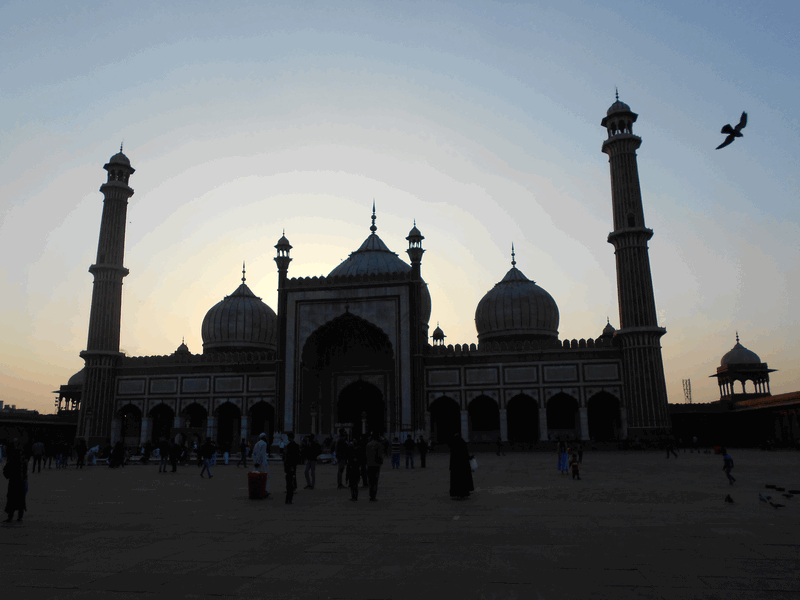 1st Day In India Alone – The Endless Day Sequel