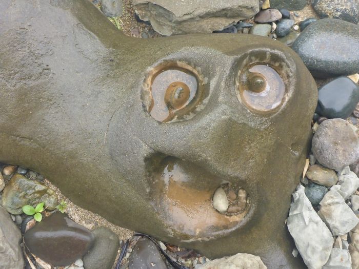 Someone Found This Unusual Rock And Posted On Internet, Began One Of The Funniest Photoshop Battles Ever