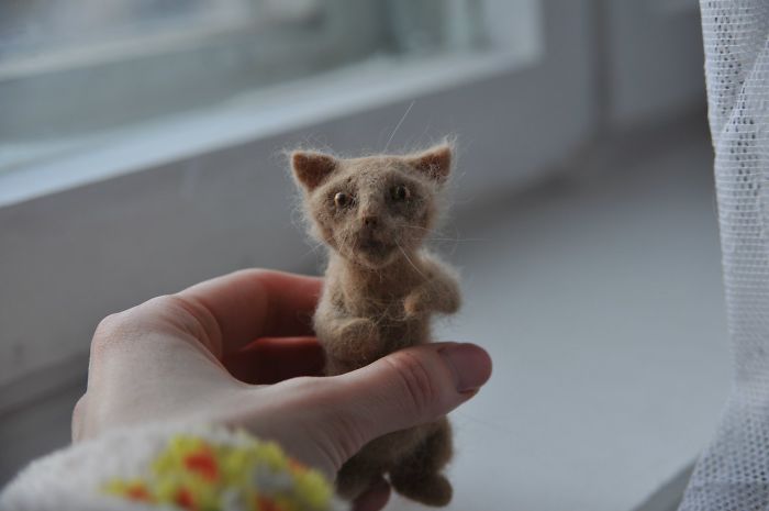 I Combed My Cat And Created A Smaller Version Of Him From His Fur