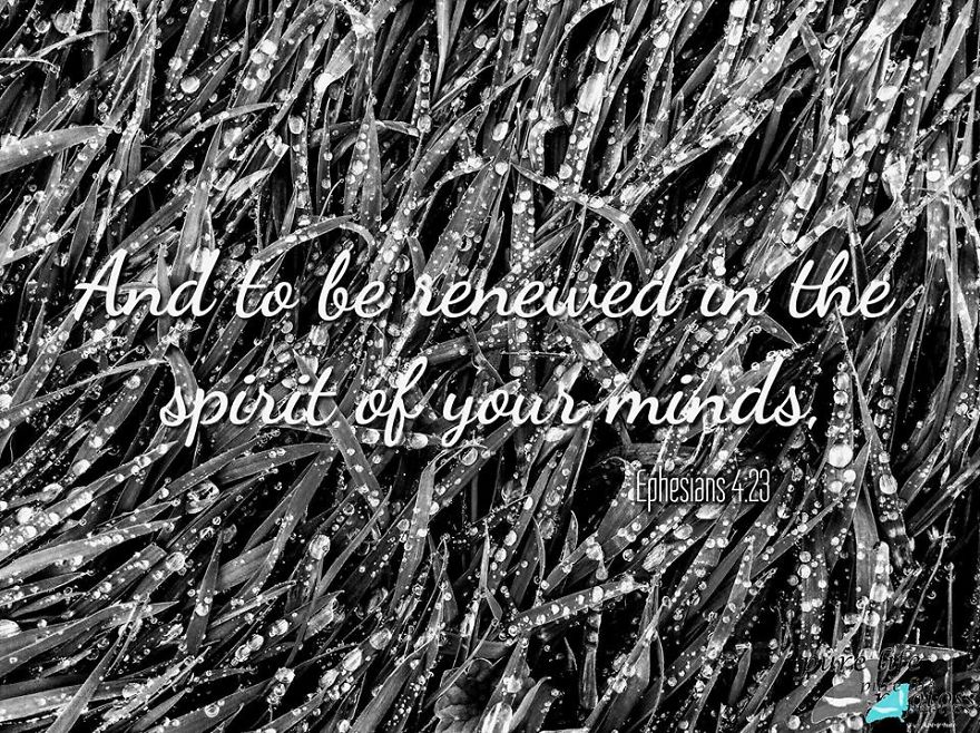 Bible Verse Photography