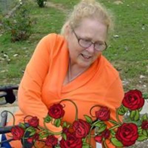 reneelhoy1960_1 avatar