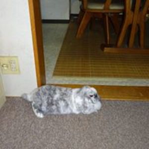 michaelministry avatar