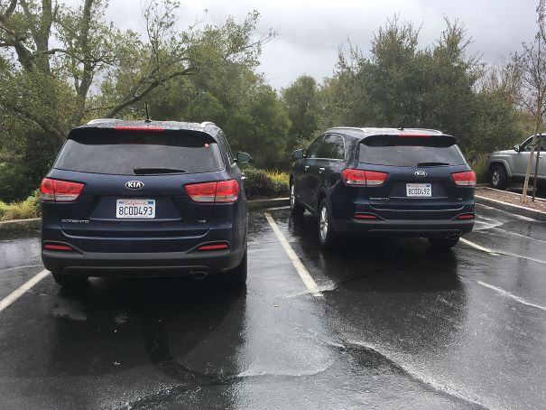 My Rental Car Is On The Left. Parked At A Winery And Came Outside To Find This