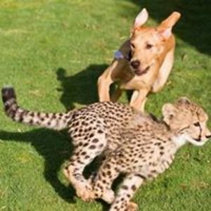 phyllis_mills avatar