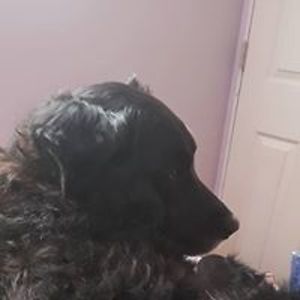 phdinsmartassology avatar