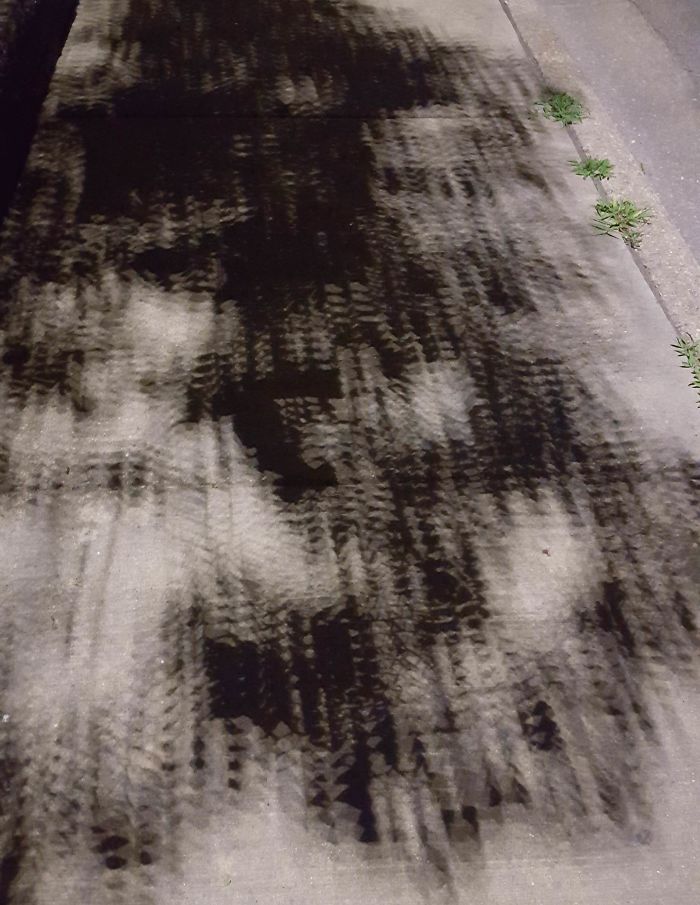 This Pixelated Tree Shadow I Saw Last Night