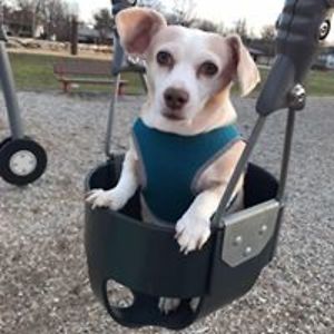 smileyface_1978 avatar