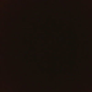 torilljrgensen avatar