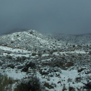 daniellezalusky avatar