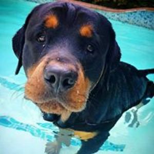 yousrasoliman1 avatar