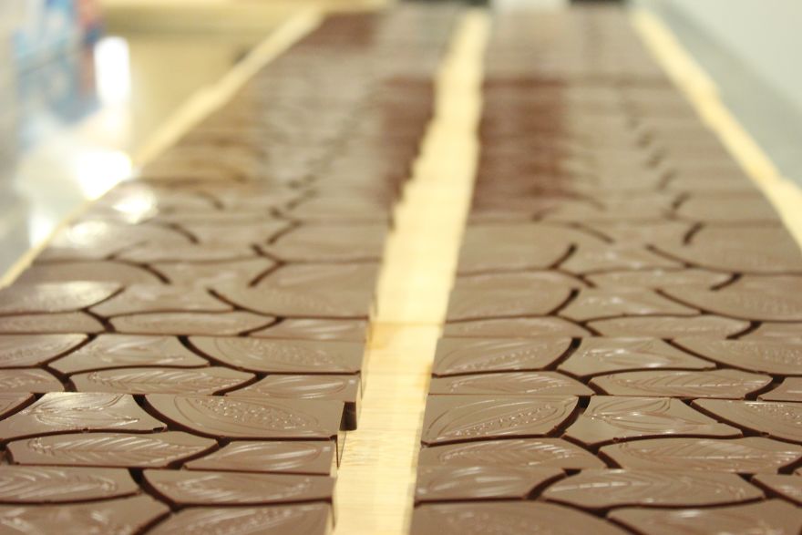 I'm A Chocolate Maker, And Here's How The Chocolate is Made From Bean To Bar