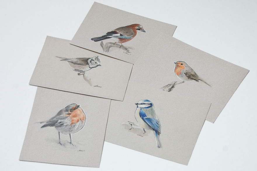 Incredibly Vivid Drawings Show Birds In All Their Beauty