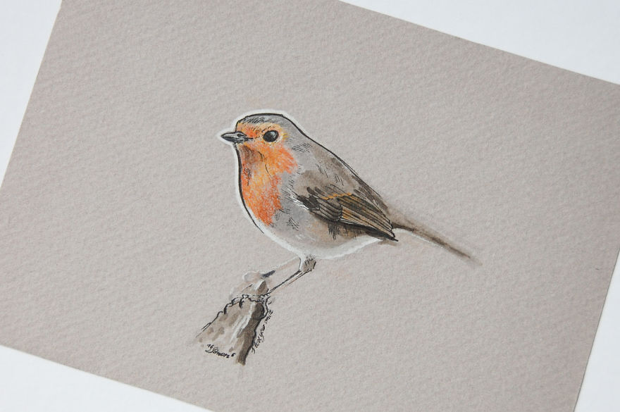 Incredibly Vivid Drawings Show Birds In All Their Beauty