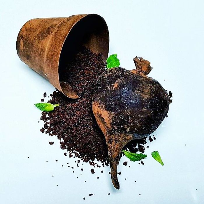 Chocolate And Beetroot Cake, Chocolate Soil, Chocolate Plant Pot