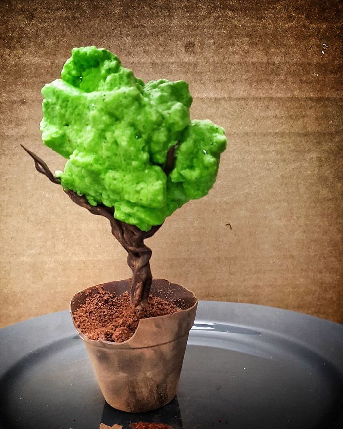 Chocolate Plant Pot Filled With Chocolate Mousse, Sprouting A Chocolate Tree, Topped With A Fluffy Matcha Foam