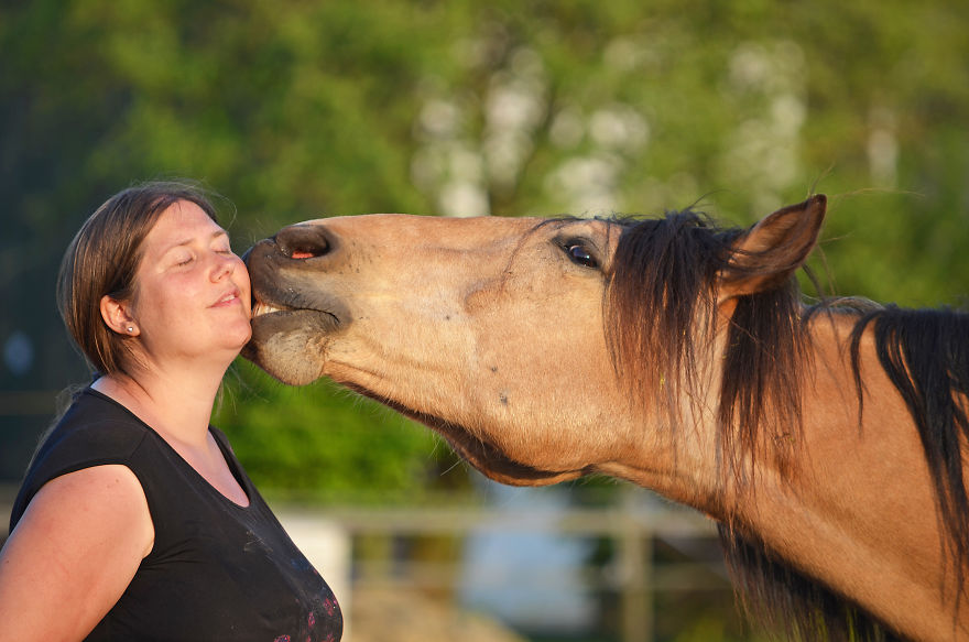 The Love And Trust Between These Horses And Owner Is Amazing