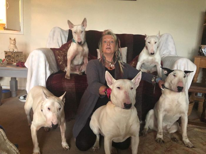 Husband Fed Up With The 30 Dogs His Wife Pets Asks Her To Choose Him Or The Dogs, And Probably Regrets It Afterwards